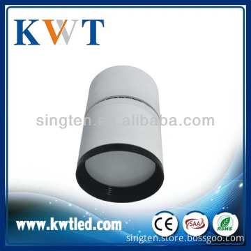 CE&RoHS Approval 20W CITIZEN COB Surface Mount Led Downlight